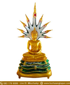 พระนาคปรก วัดไหนดี ,พระนาคปรก ความหมาย,พระนาคปรก พุทธคุณ,พระ นาคปรก ห้อยคอ