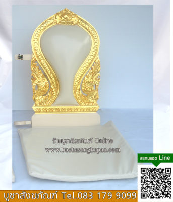 อาสนะสงฆ์ ,อาสนะ แปล ,อาสนะสงฆ์ อย่างดี,อาสนะนั่งสมาธิ